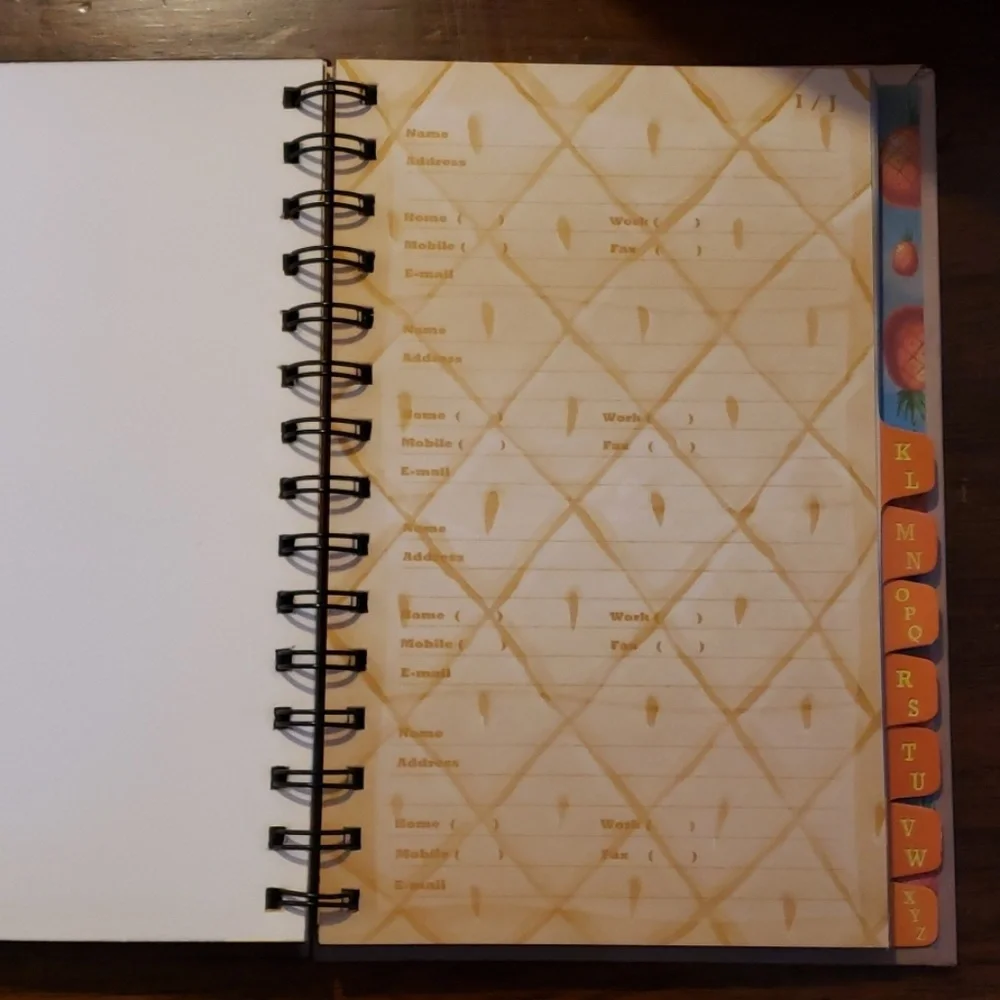 Nickelodeon SpongeBob SquarePants address book